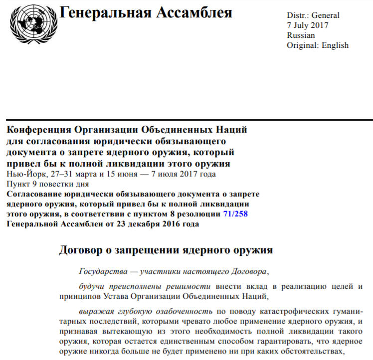 С 2015 года в рамках ООН начала работу специальная группа по разработке проекта конвенции. Идея была поддержана значительным числом стран (в первом раунде голосования в 2016 году за высказались 123 государства, во втором – 113).