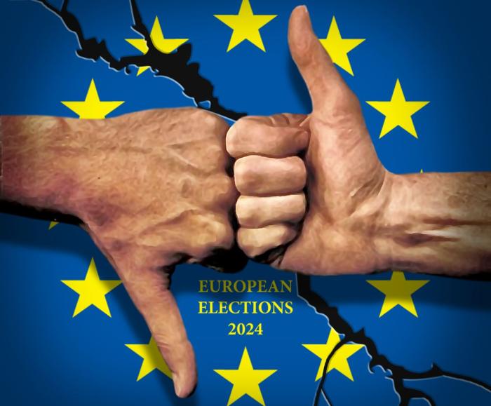 Выборы в Европарламент как барометр европейских перемен 
